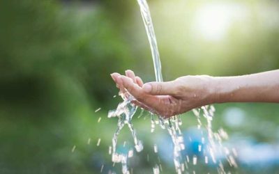 Limitation des usages de l’eau – Arrêtés n° 26_DDTM85_346 et suivants du 8 juin 2026
