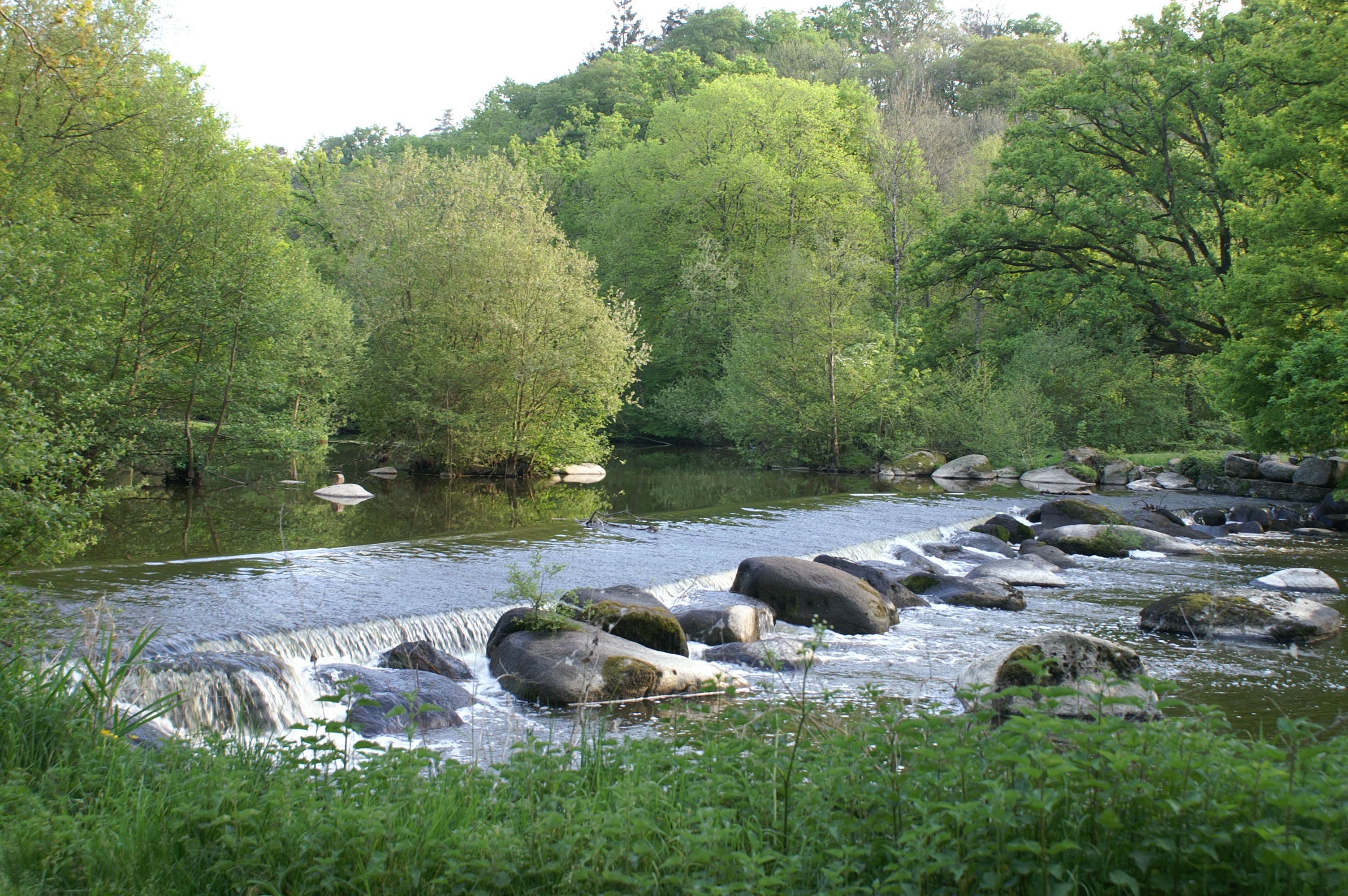 La Sèvre Nantaise